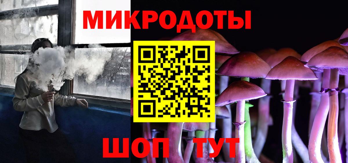 Галлюциногенные грибы MAGIC MUSHROOMS  Вход с VPN  Россия 