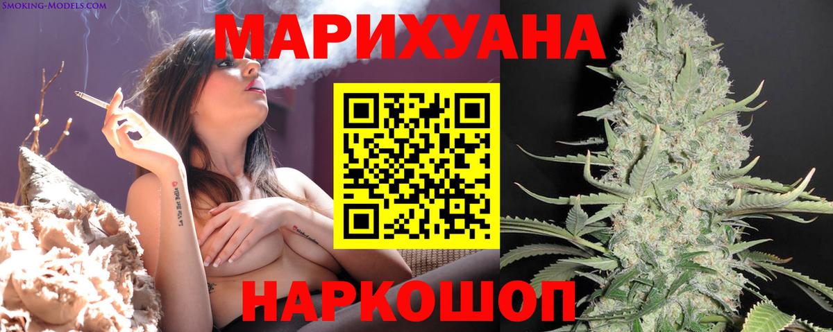 Конопля план  Бошки марихуана индика  Россия  Вход с VPN  Каннабис сатива  МАРИХУАНА планчик 